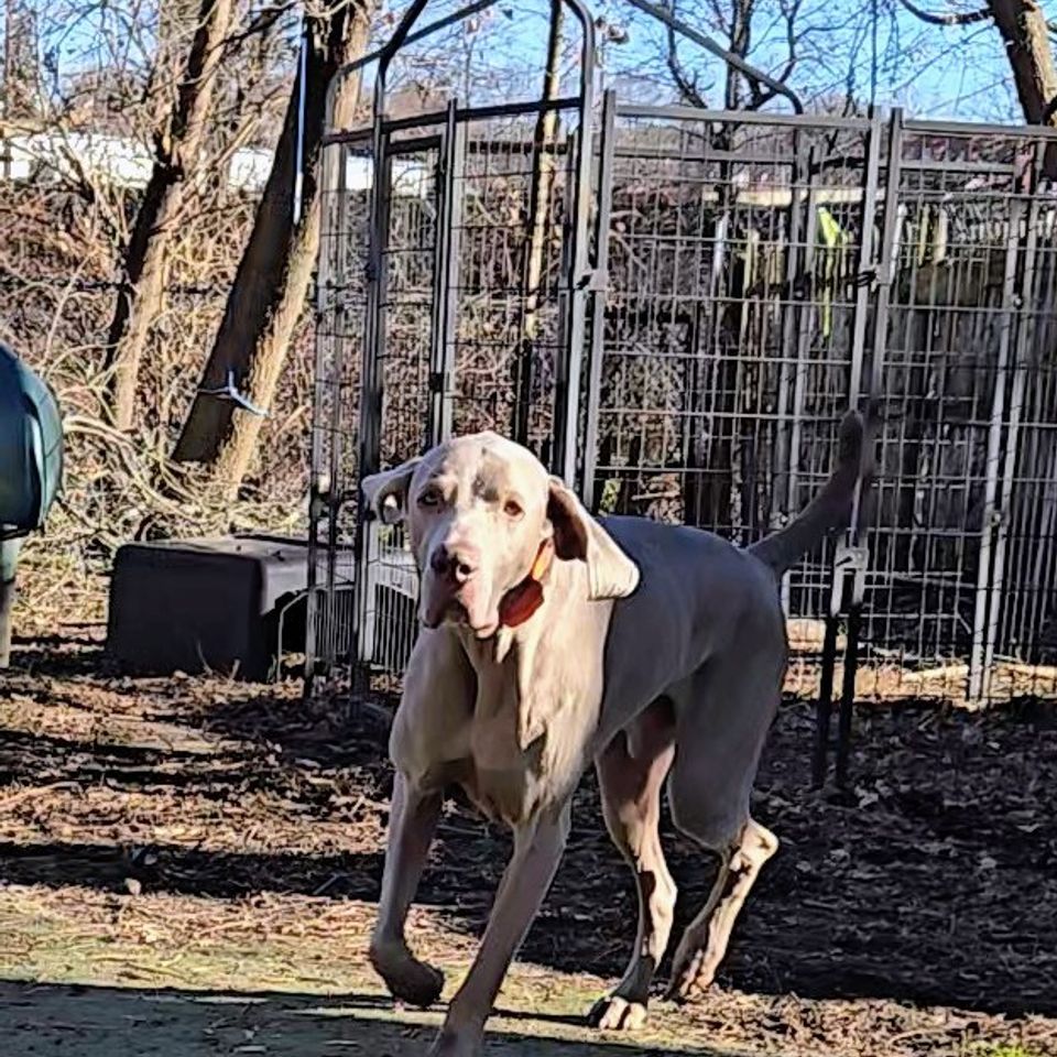 20251201 123200 exported 45492 2