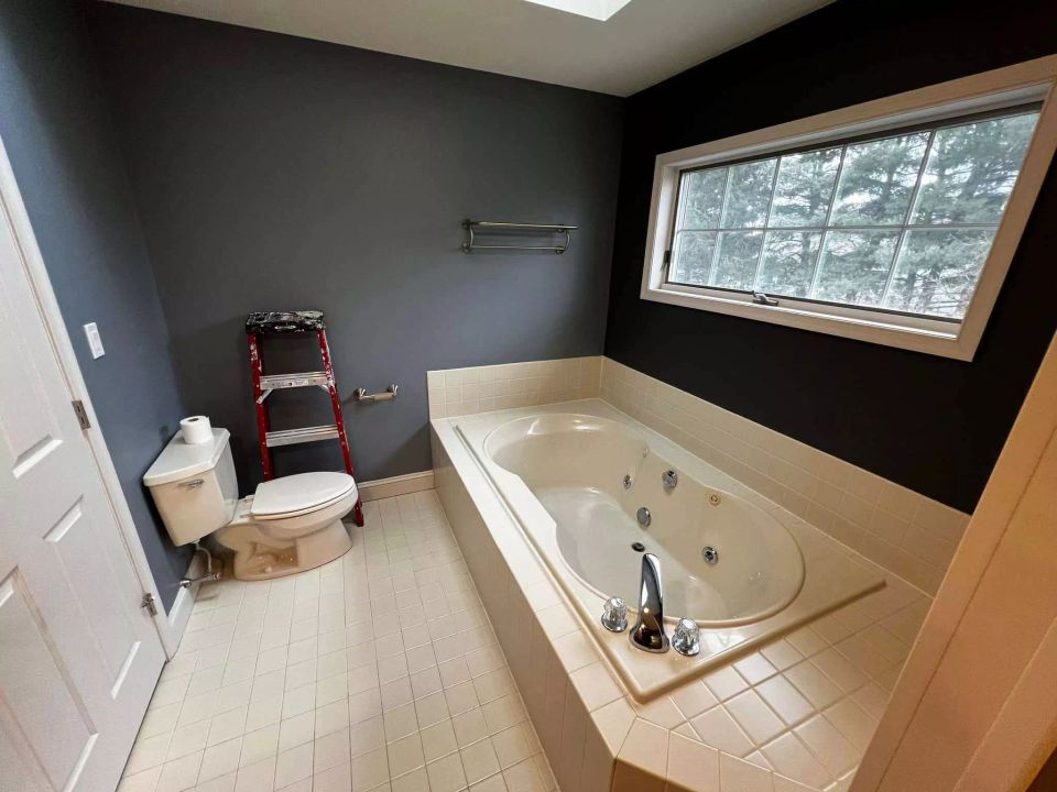 St. charles bath tub services