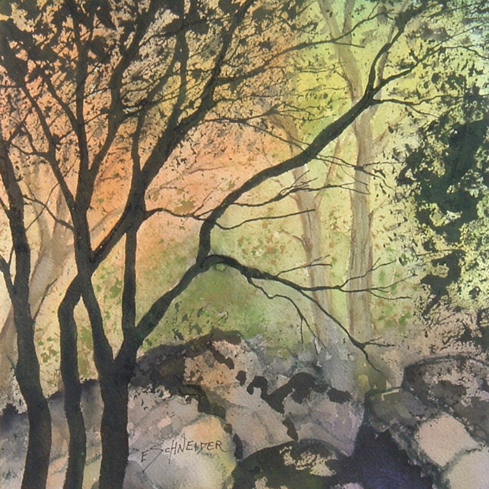 Sunset through the trees
