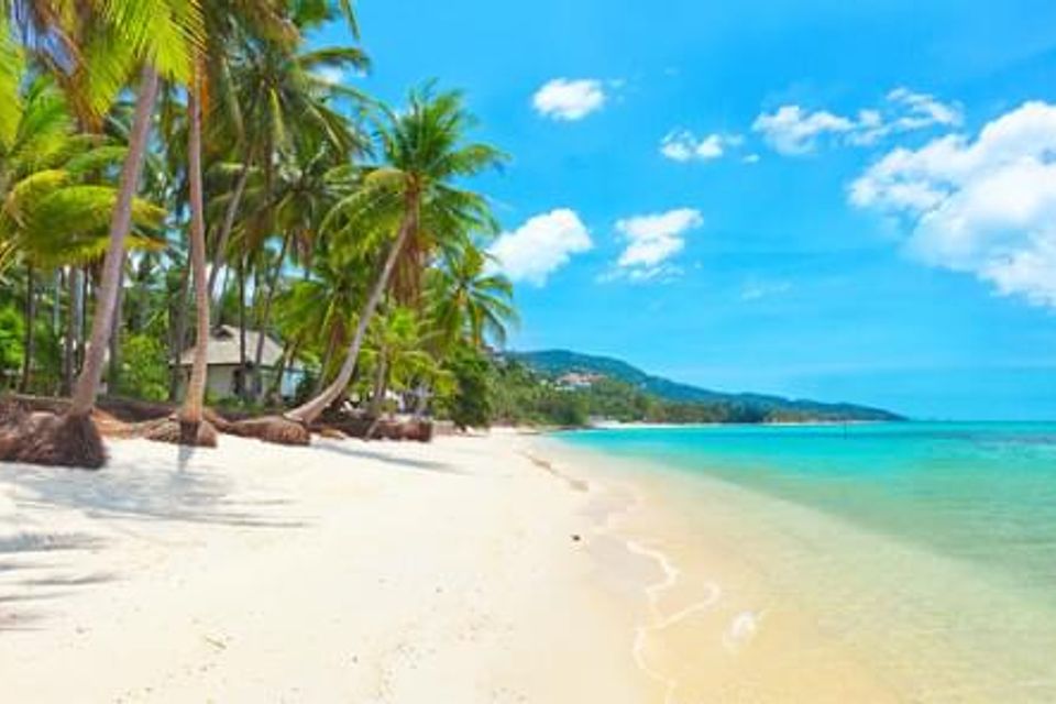 Thailand   8 days   7 nights   koh samui