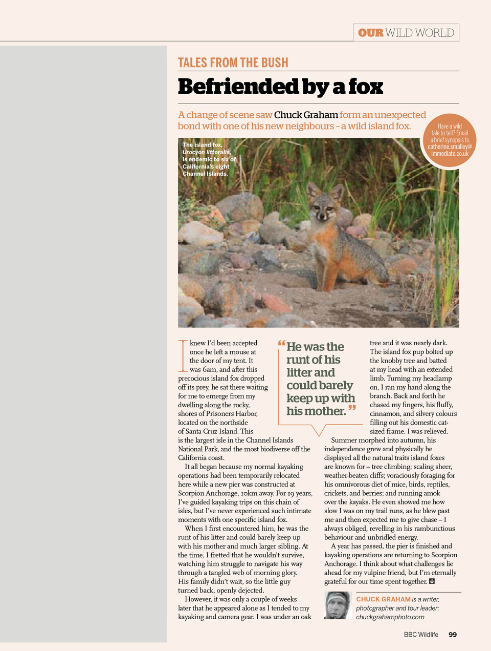 Chuckgraham talesfromthebush islandfox bbcwildlifemagazine may2021