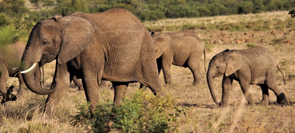 Herd g4d0489f95 1920
