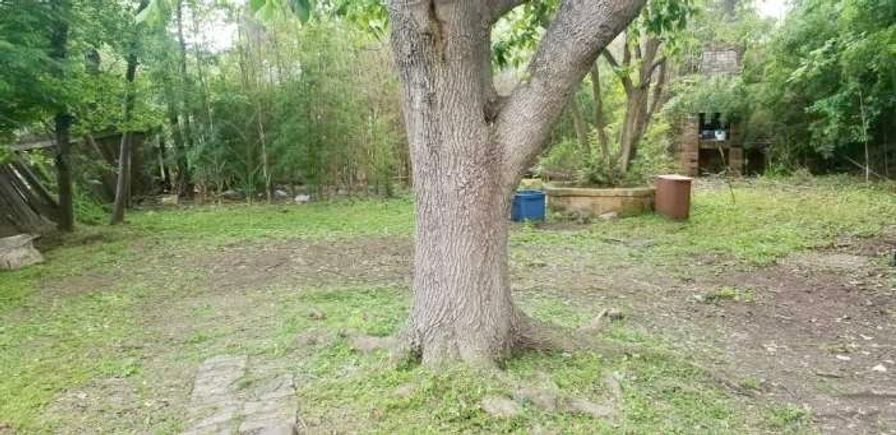 Img 0470
