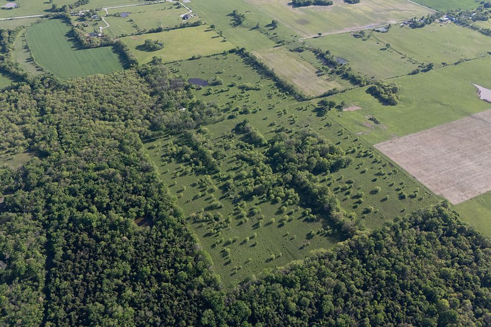 For sale wentworth missouri 72 61 acres 17