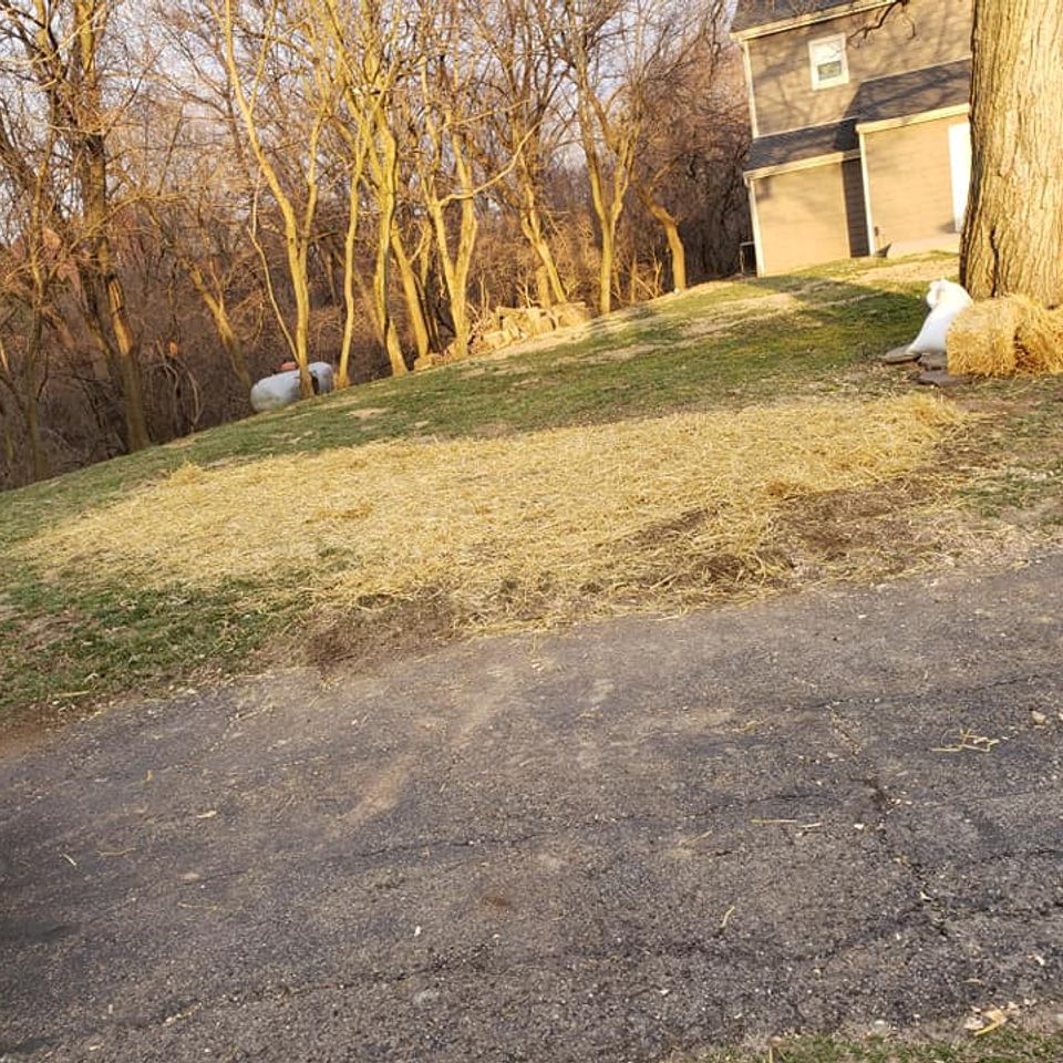 Pic40