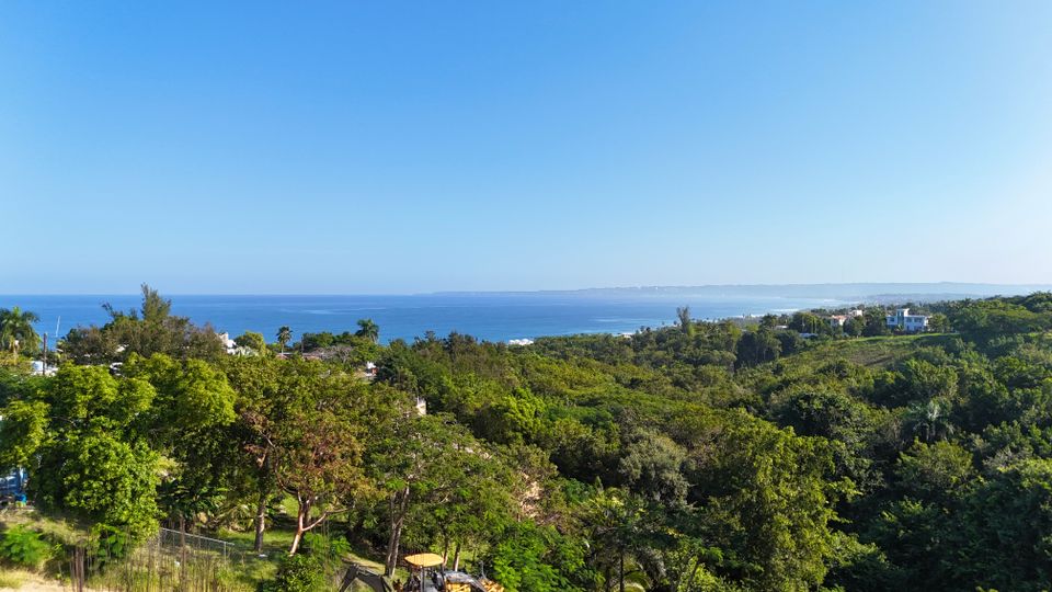 Dji 20251215083100 0176 d