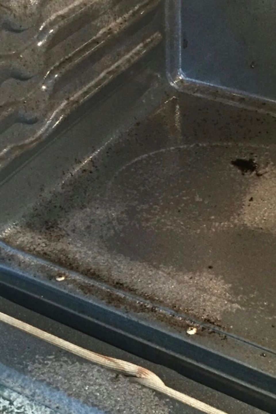 Img 3191 1153be9c 6661 47dc a112 a056e3ddb54f