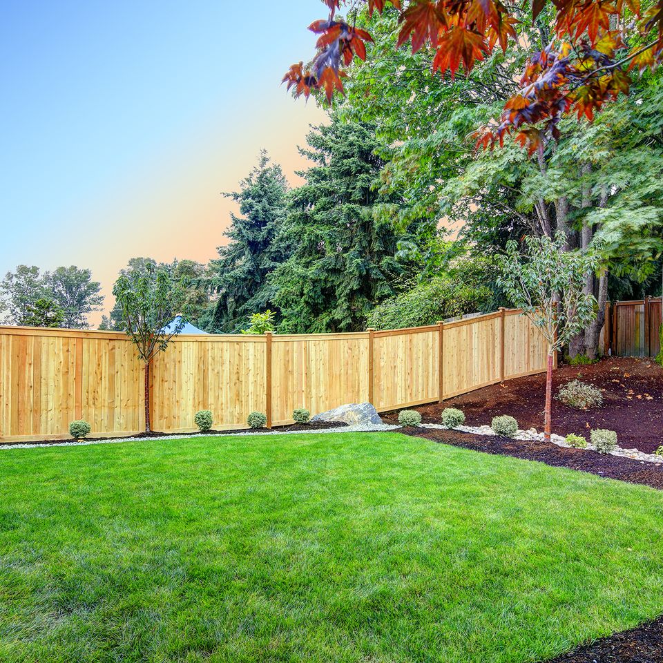 Yard with fence