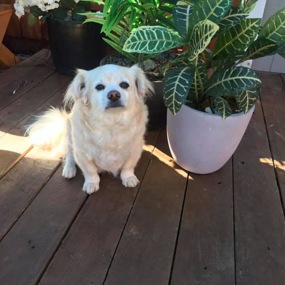 470640657 1016089440572654 3795425921109163458 n