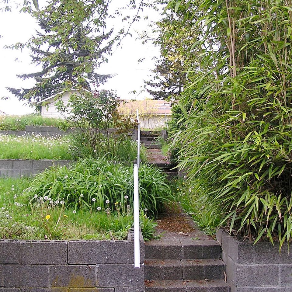 Steps before