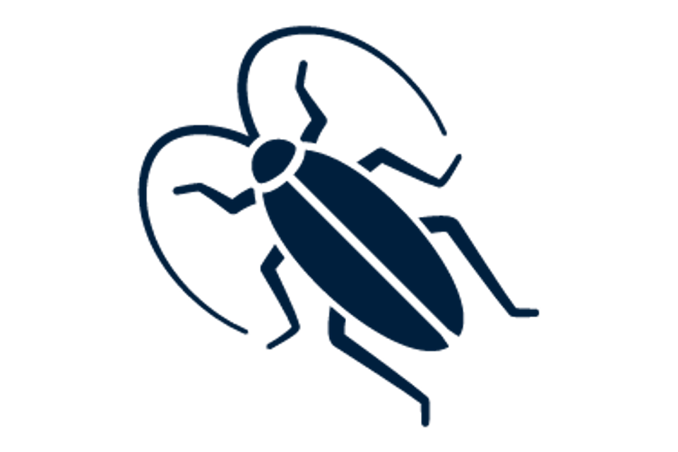 Service icons roaches