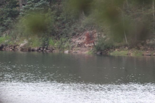 B8c78a73 0ba1 4e27 b1b4 e406e6c13085