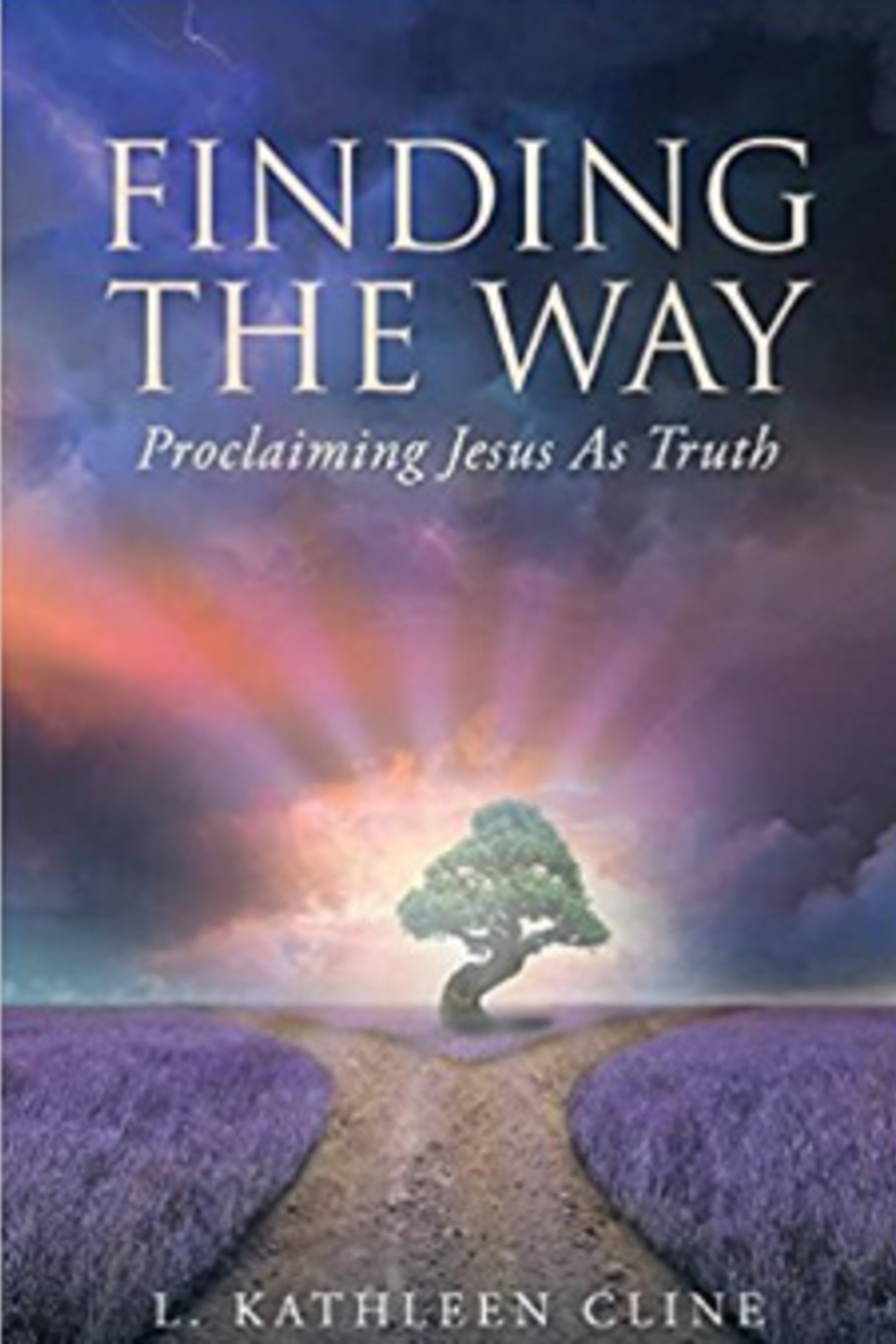 Finding the way20170508 17044 91n312 960x1440