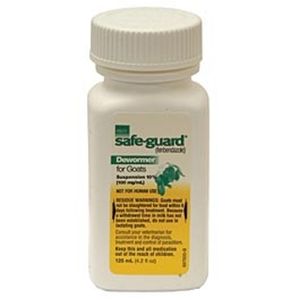 Safe guard goat