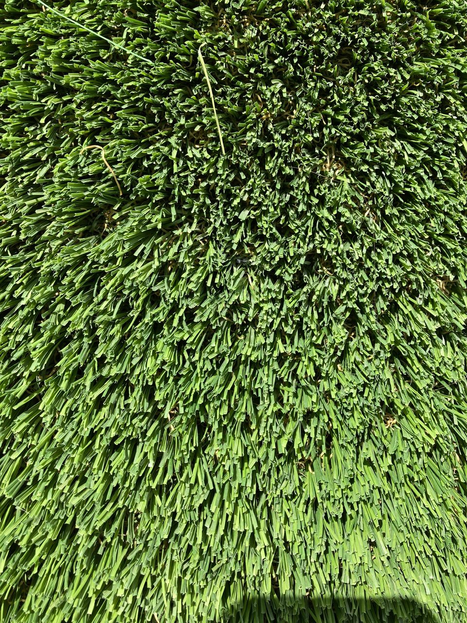 Natural landscape synthetic turf img 2428