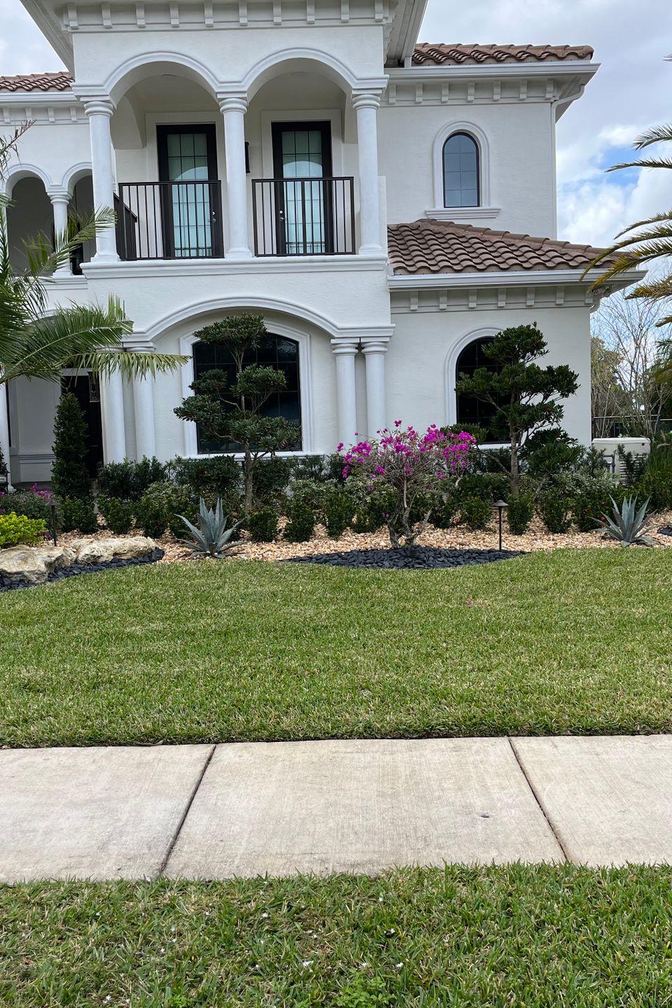 House landscaping