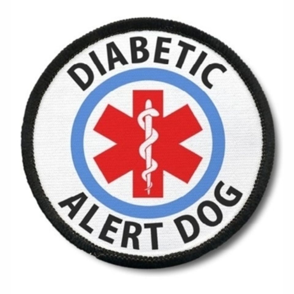 Diabetic alert dog20170902 4328 1efqxhj