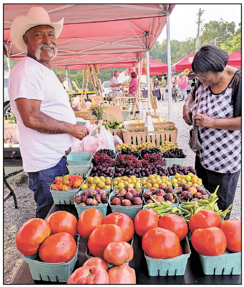 Screen shot 2026 04 16 at 12.24.17 pm