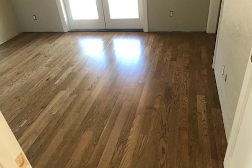 Img 0972