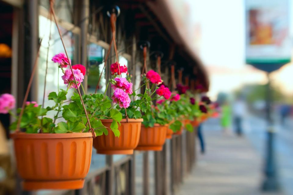 downtown hanging flower planters