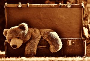 Luggage teddy bear