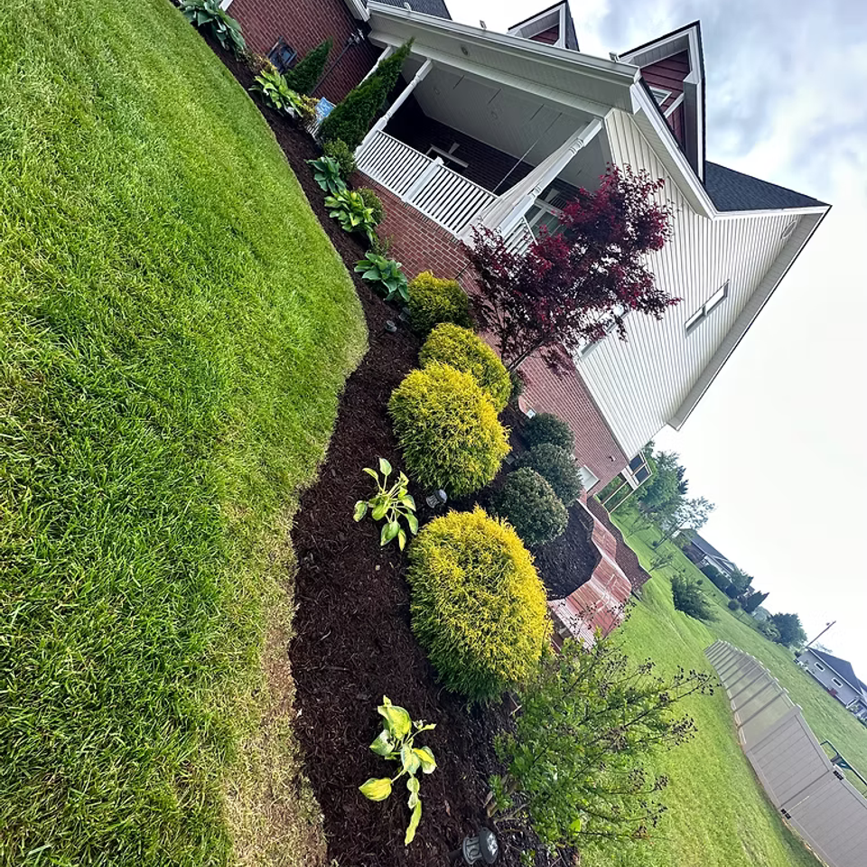 Mowing landscaping johnson city46