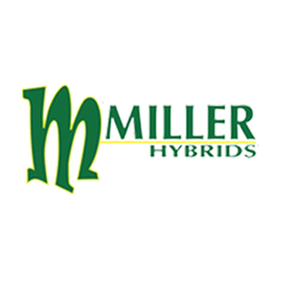 Site logo copy