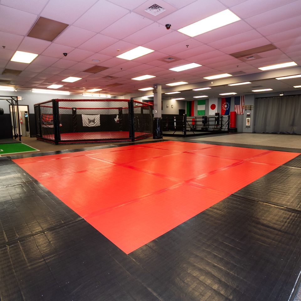 Dojo 7