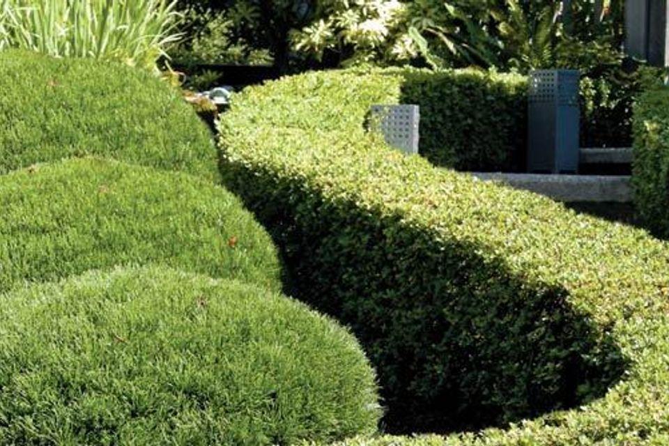 Landscape maintenance sm20170731 28746 rvl4d8