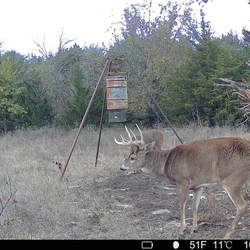 016579003868382 0 3 10312025174420 syfw00165