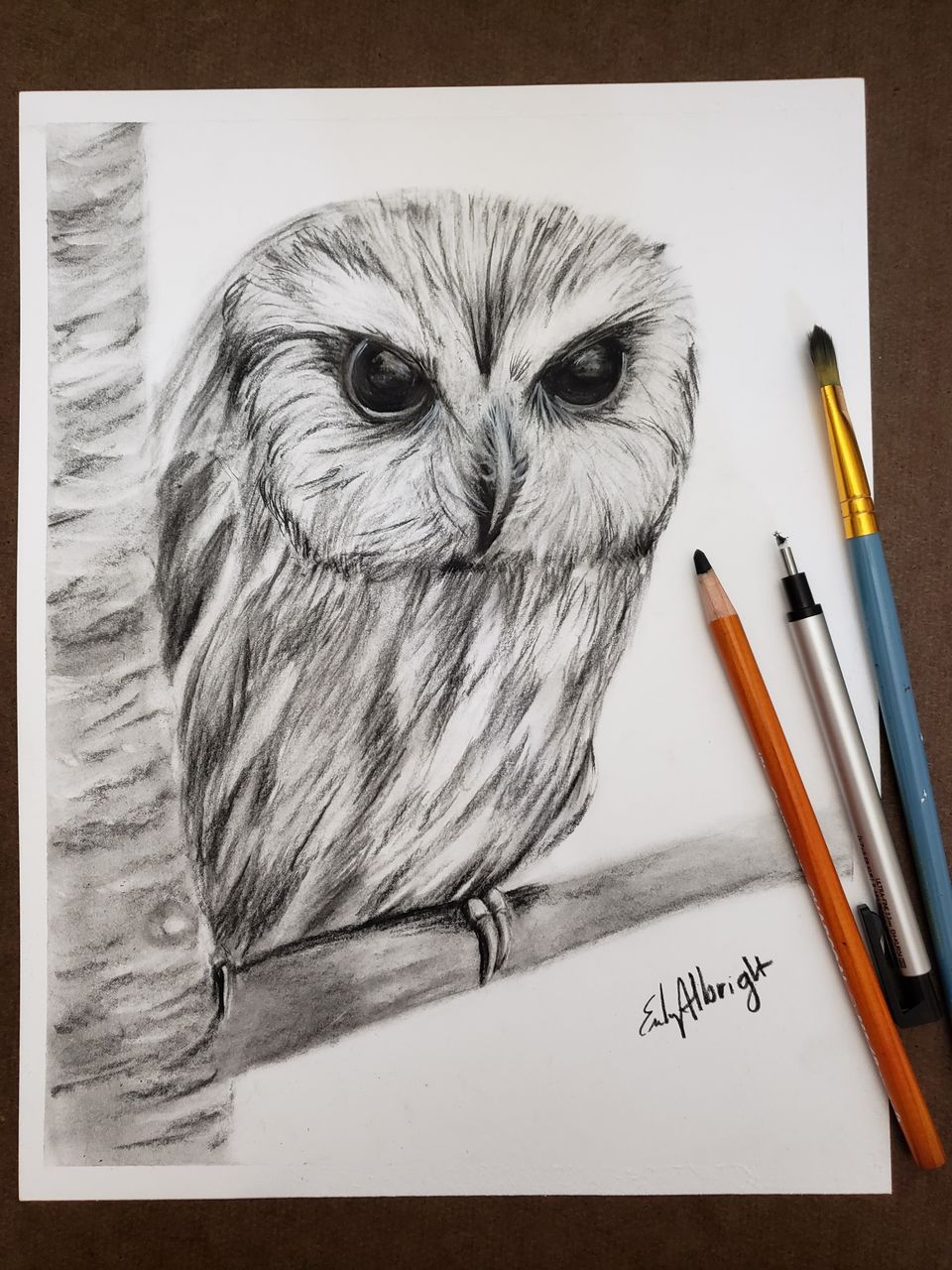 Elf Owl realistic drawing by artist Emily Albright