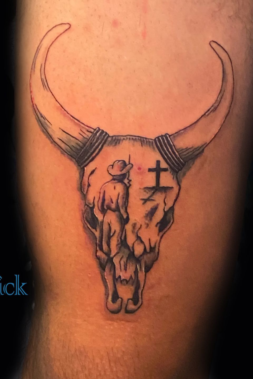 Nick cow skull