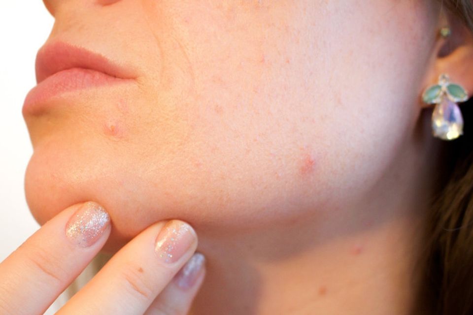 0f331c24 8dea 4d3c a2a0 c5cec18645c7