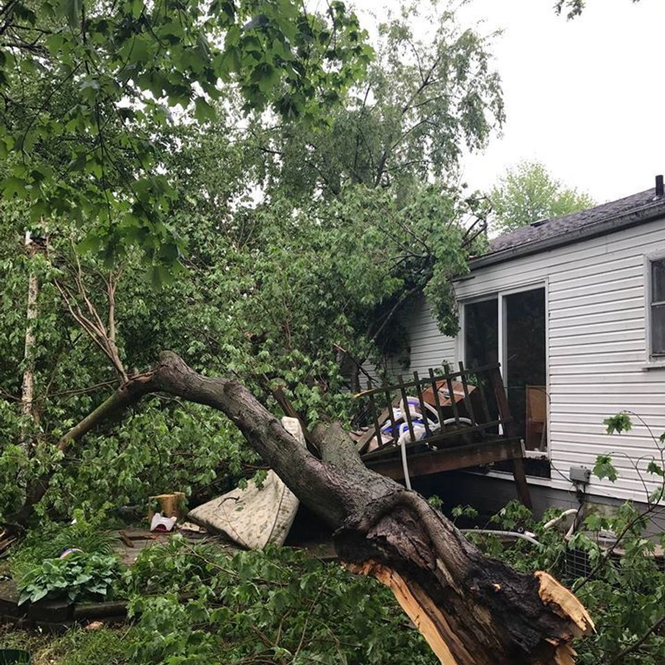 Storm cleanup 2