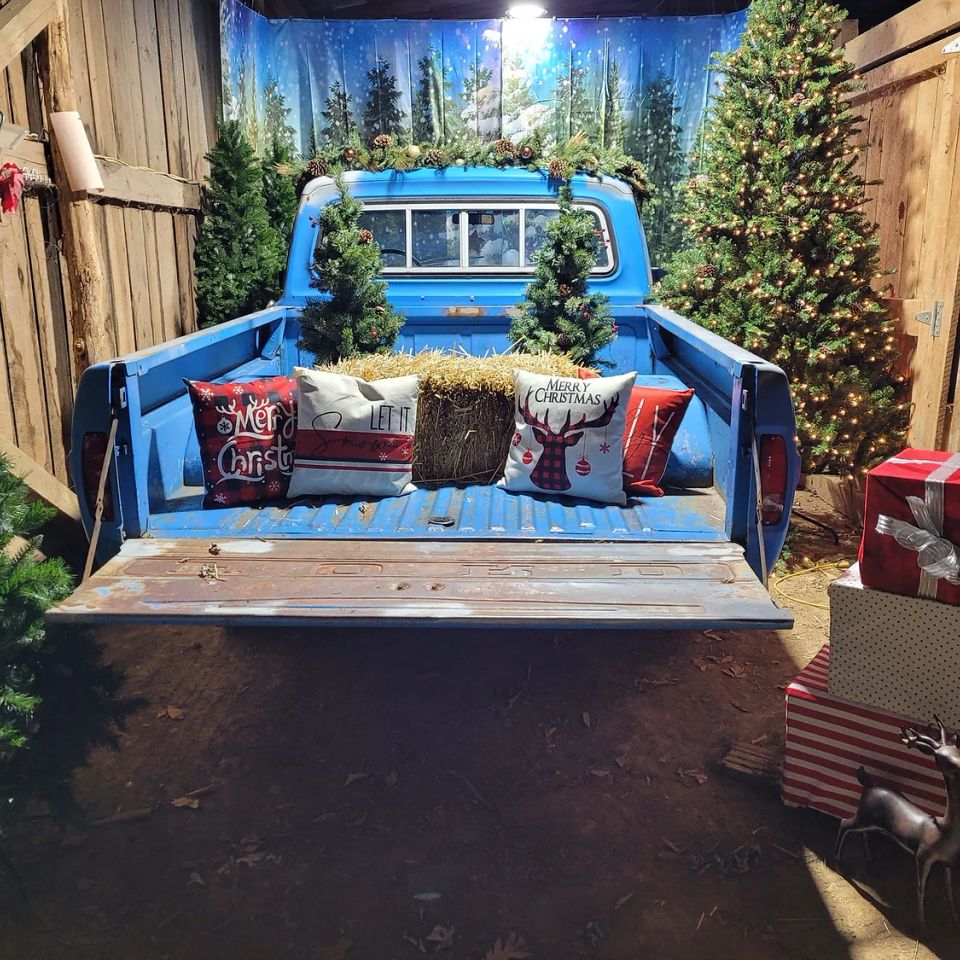 Christmas truck (1)