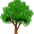 Tree services 2