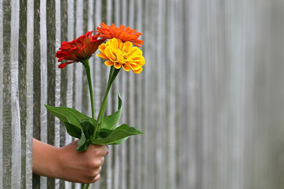 Happy valentines day gb7e2547e5 1920