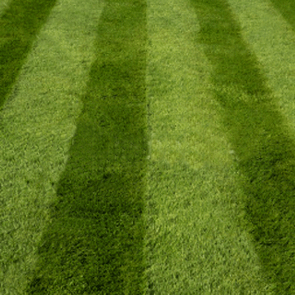 Grounds maintenance companies
