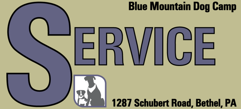 Service