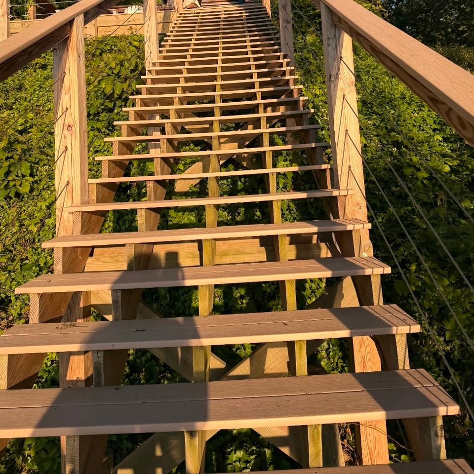 Wooden staircase with cable railings ascending through greenery in Virginia Beach VA