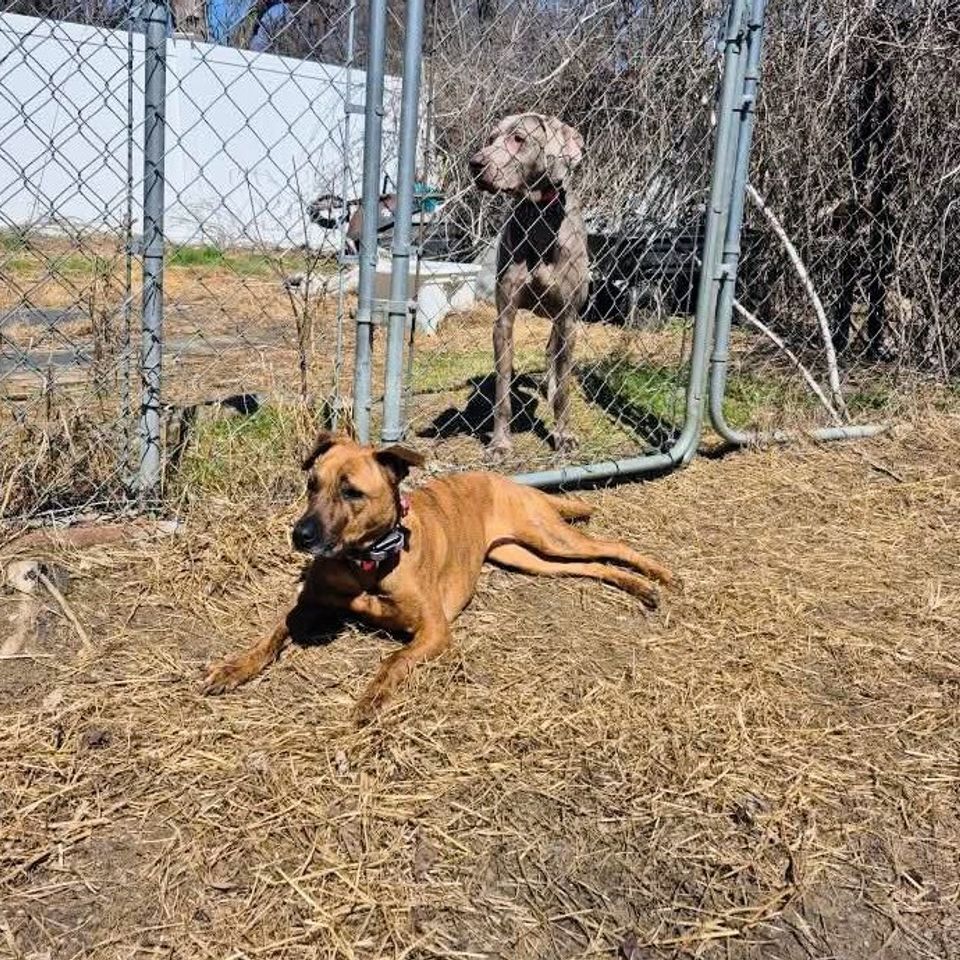 Fb img 1769435461819 2