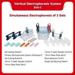 Vertical electrophoresis system be bve 2 1