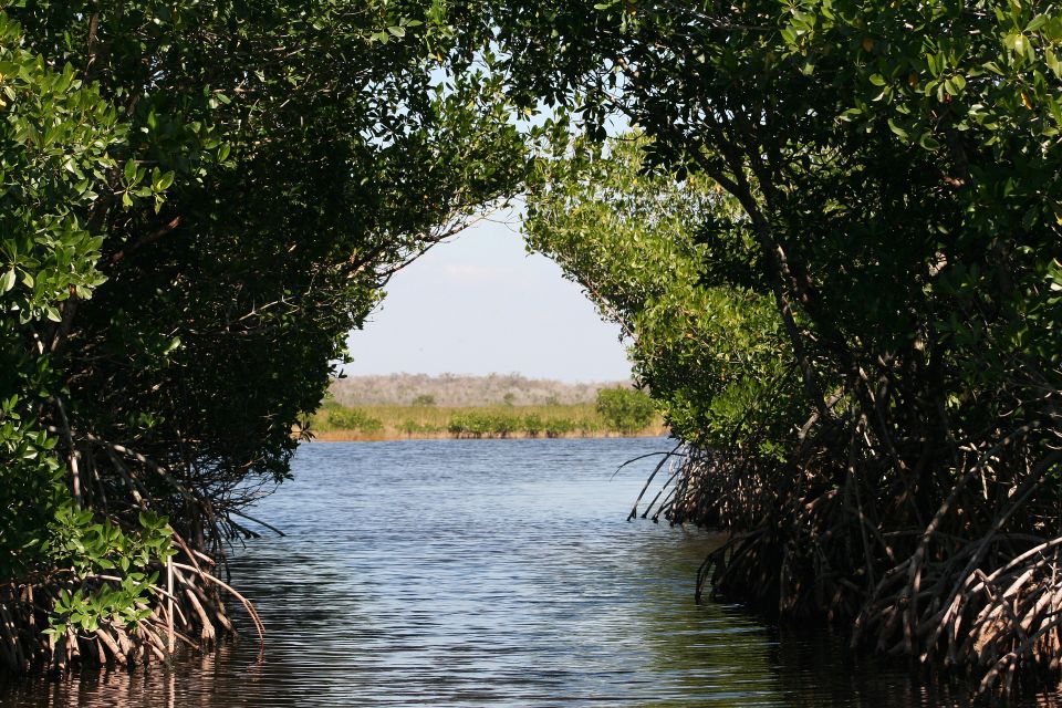 Everglades g9e4f0908f 1920