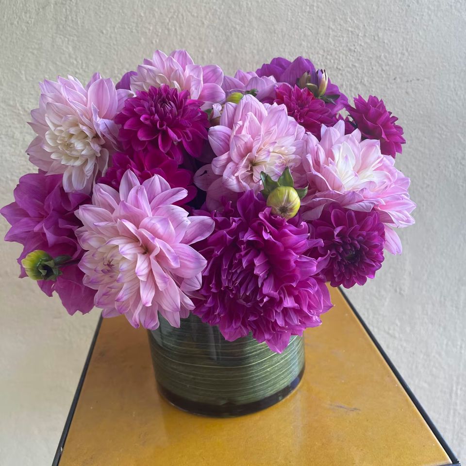 20250927204234 file 68d84c3a5612c