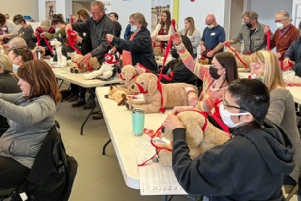 Pet cpr class pic