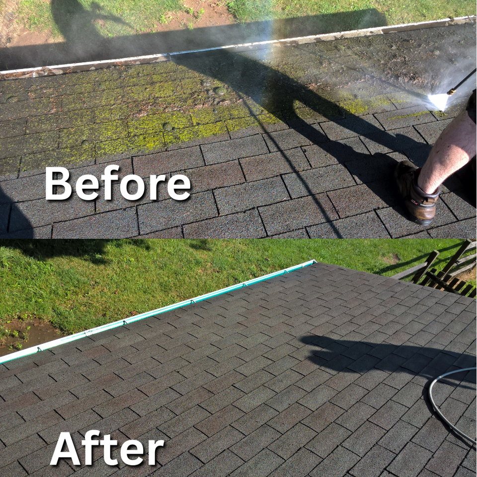 roof cleaning harford county