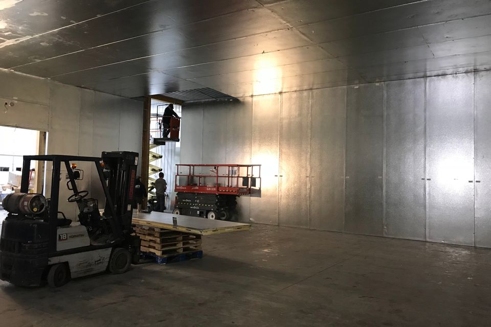 Img 1309