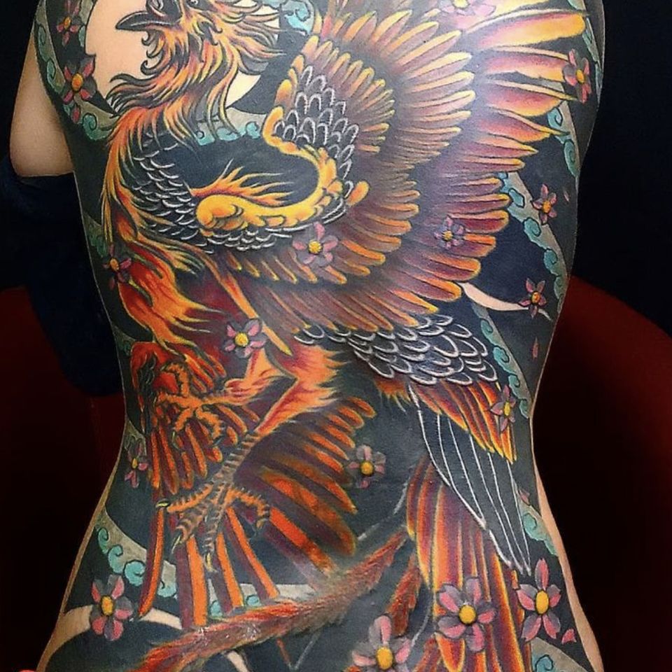 Hadley griffin full back