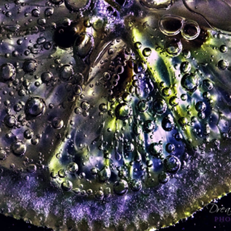 Molecular 02