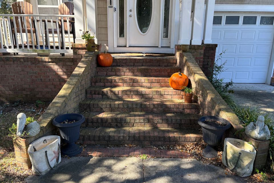 Img 1719